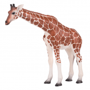 AMW2010 Игрушка. Фигурка животного "Жираф, самка"