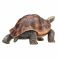 AMW2111 Игрушка. Фигурка животного "Гигантская черепаха"