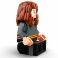76393 Конструктор LEGO Гарри Поттер и Гермиона Грейнджер