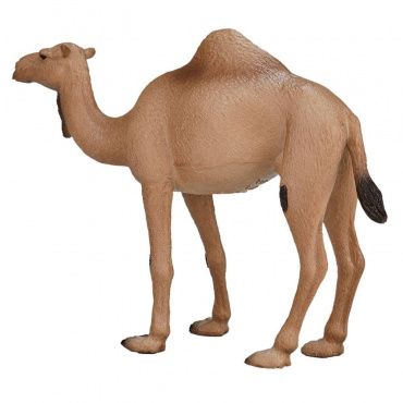 AMW2056 Игрушка. Фигурка животного "Одногорбый верблюд"
