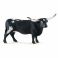 13865 Игрушка. Фигурка животного "Техасская корова Лонгхорн"