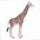 AMW2004 Игрушка. Фигурка животного "Жираф, самец"