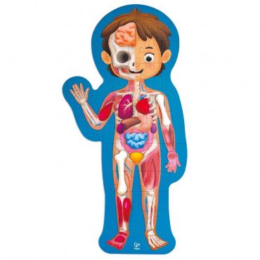 E1635_HP Детский пазл-игрушка "Как устроено тело человека", 60 элементов в кейсе