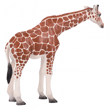 AMW2010 Игрушка. Фигурка животного "Жираф, самка"