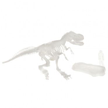 ВВ4206 Исторические раскопки Науки с Буки Bondibon Тираннозавр (светящийся в темноте)