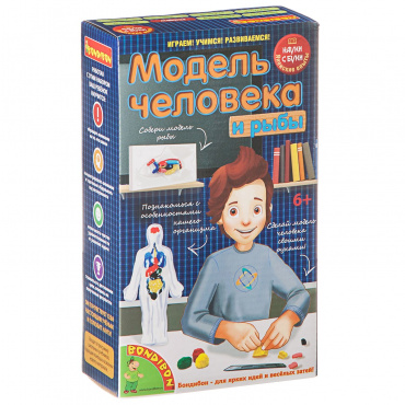 ВВ1840 Японские опыты Науки с Буки Bondibon, Модель человека, арт. 196408