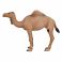 AMW2056 Игрушка. Фигурка животного "Одногорбый верблюд"