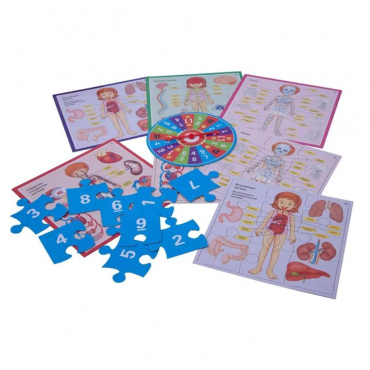 ВВ3792 Обучающие игры Bondibon Настольная игра «ВЕСЕЛАЯ АНАТОМИЯ»
