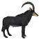 AMW2064 Игрушка. Фигурка животного "Чёрная антилопа"