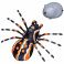 ZY1246072 Интерактивные насекомые и пресмыкающиеся. Паук, выпускает пар, на ИК управлении, в коробке