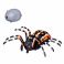 ZY1246072 Интерактивные насекомые и пресмыкающиеся. Паук, выпускает пар, на ИК управлении, в коробке