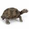 14643 Игрушка. Фигурка животного 'Гигантская черепаха,мал.'