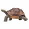 AMW2111 Игрушка. Фигурка животного "Гигантская черепаха"