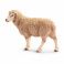 13743 Игрушка. Фигурка животного 'Овца'