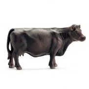 13767 Игрушка. Фигурка животного 'Корова Черный Ангус'